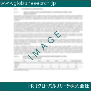 グローバルリサーチ調査資料のイメージ